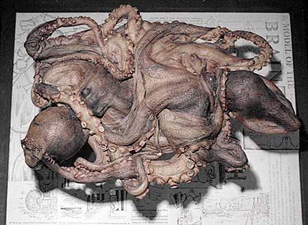 PICTURE: Top view of two intertwined freeze-dried octopuses.