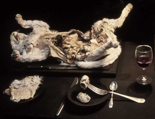 PICTURE: top-side view of black restaurant table containing pregnant cat and one foetal kitten on a black plate.