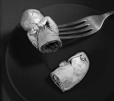 PICTURE: closeup of fetal kitten cut in half.  One half is on a black plate. The top half is stuck to the end of a fork.